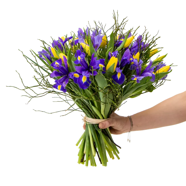 Bouquet of spring flowers